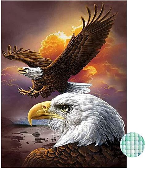 Liphisfun 5D Diamant Bild Kreuzstich Muster Motiv Tiere Adler DIY