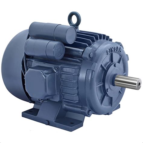 Single Phase Cast Iron Body Ac Induction Motor At Best Price In Karnal