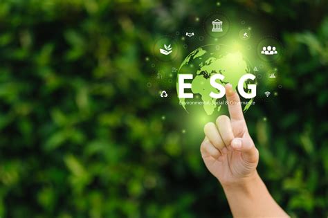 Esg Criteria Tighten Insurers Wary Of Greenwashing