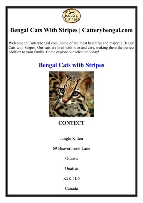 PPT - Bengal Cats With Stripes Catterybengal.com PowerPoint ...