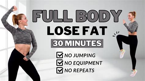 Min Full Body Fat Burn Hiit No Jumping Ab Core Arm Back Leg