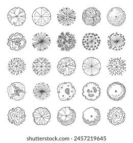 Tree Top Tree Plan Free Hand Stock Vector Royalty Free