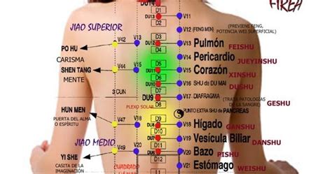 Puntos Shu De La Espalda Salud Pinterest Espalda La Espalda Y