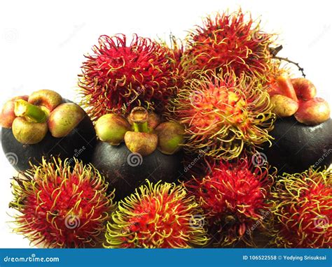 Rambutan Mangosteen Tropical Fruit Asia Stock Photo Image Of Exotic