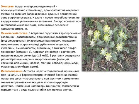 Сердечно - сосудистые лекарственные растения - презентация онлайн