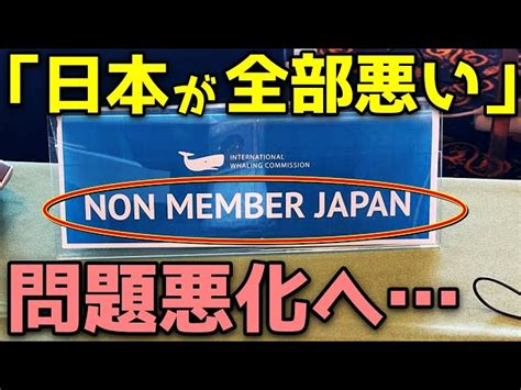 【海外の反応】日本のiwc脱退が原因となりアイスランドが捕鯨中止！増えすぎたクジラと貴重な水産資源を奪い合う人類の行く末は！？ World Japan【海外の反応】｜youtubeランキング