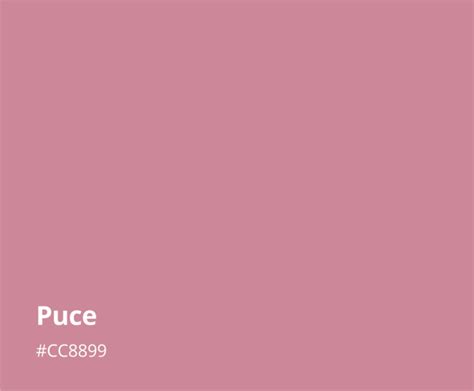 How to Use Puce Color in Graphic Design | ColorPalette.wiki