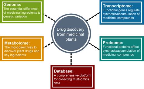 Frontiers Integration Of High Throughput Omics Technologies In