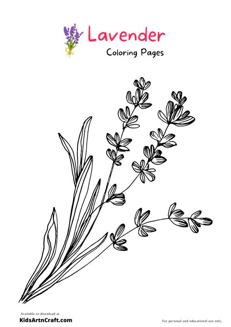 Lavender Coloring Pages For Kids Free Printables Kids Art And Craft