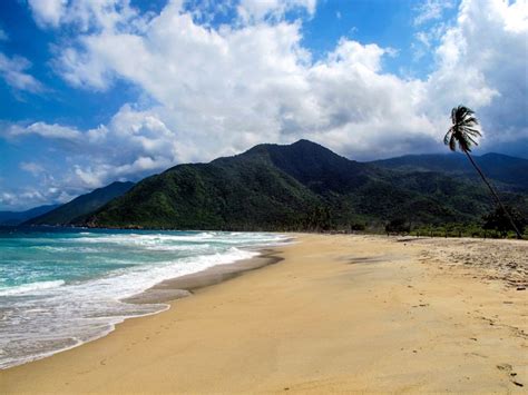 What are the best beaches in Venezuela? - Passporter Blog