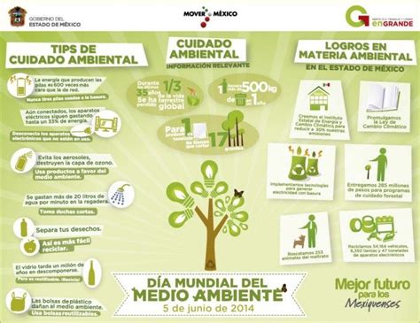 Esquema De La Conservación Del Medio Ambiente Cuidado Del Medio