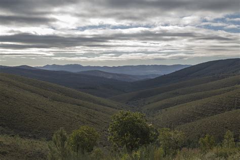 Reserva Natural Da Serra Da Malcata Turismo Centro Portugal