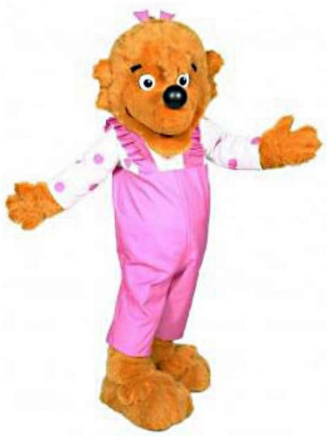 Berenstain Bear Brother Bear And Sister Bear Mascot Costume