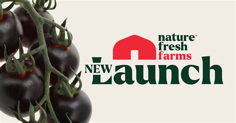 Nature Fresh Farms Debuts Yoom® Tomatoes; Matt Quiring Shares | AndNowUKnow