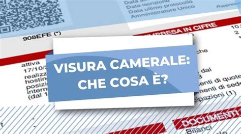 Visura camerale che cos è e come ottenerla gratis