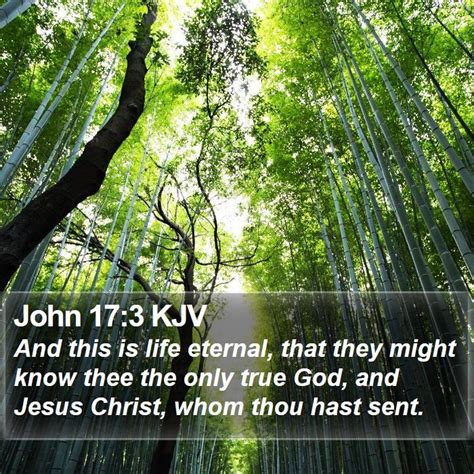 John 173 Kjv Bible Verse Images