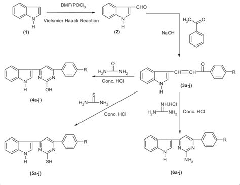 Scheme 1 Synthesis Of Bioactive Molecules Download Scientific Diagram