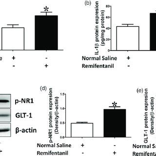 Behavioral Changes After Remifentanil Infusion In Rats Under 3