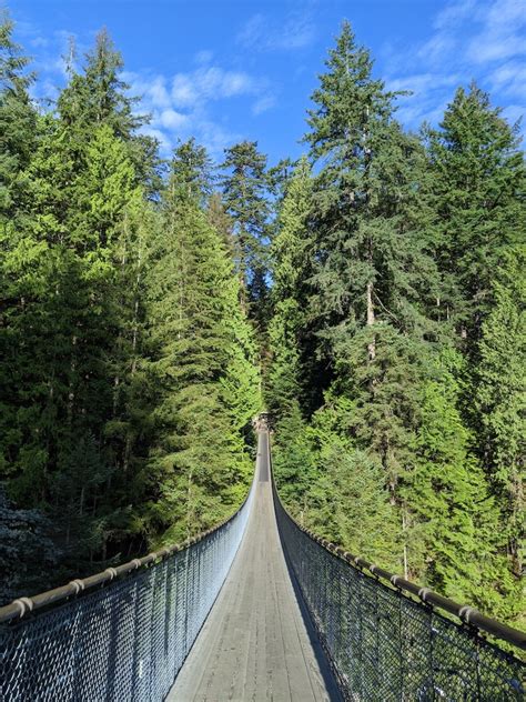 Capilano Suspension Bridge Park North Vancouver Canada DESKRIB