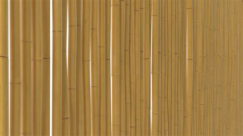 3d Model Bamboo Wall Covering Turbosquid 1991742