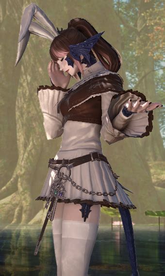 Bunny Healer Eorzea Collection