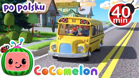 Ko A Autobusu Cocomelon Po Polsku Piosenki Dla Dzieci Youtube