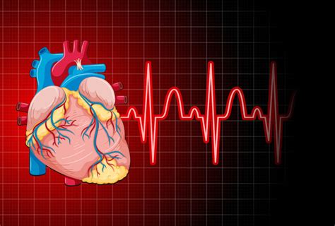 Heart Specialist Guided Embarking On A Journey Through Atrial Fibrillation At Cvskl To Find