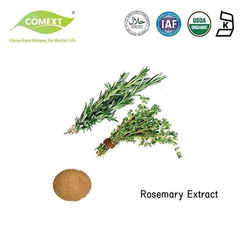 Comext Herbal Extract Rosemary Extract Natural Antioxidant Ursolic