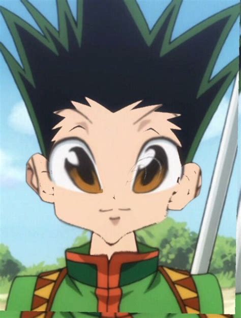 Gon Hxh