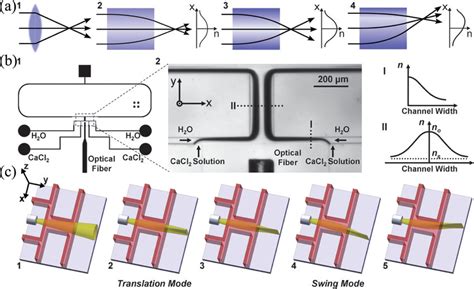 Principle And Design Of The L Grin Lens A A Schematic Diagram