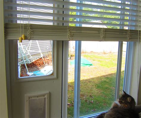Cat Doors For Sliding Glass Doors: A Comprehensive Guide - Glass Door Ideas