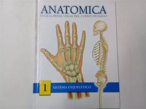 Anatomica Enciclopedia Del Cuerpo Humano Sistema Esqueletico Cuotas