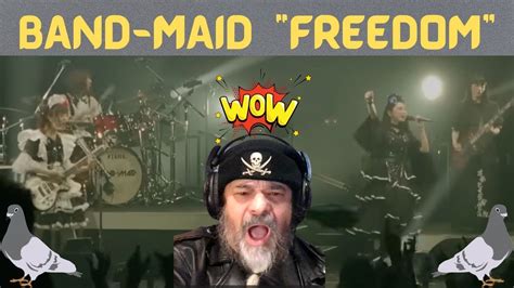 Metal Dude Musician Reaction Band Maid Freedom Official Live