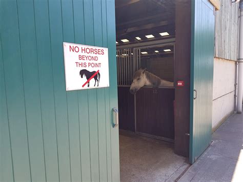 FUcK THe SyStEm R Madlads