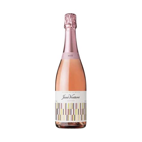 Jané Ventura Cava Reserva de la Música Brut Rosé 2017 grosser wine