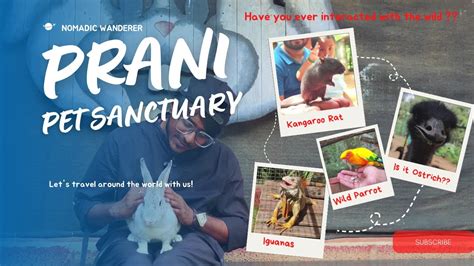 Into The Wild A Journey Through Prani Pet Sanctuary Bangalore