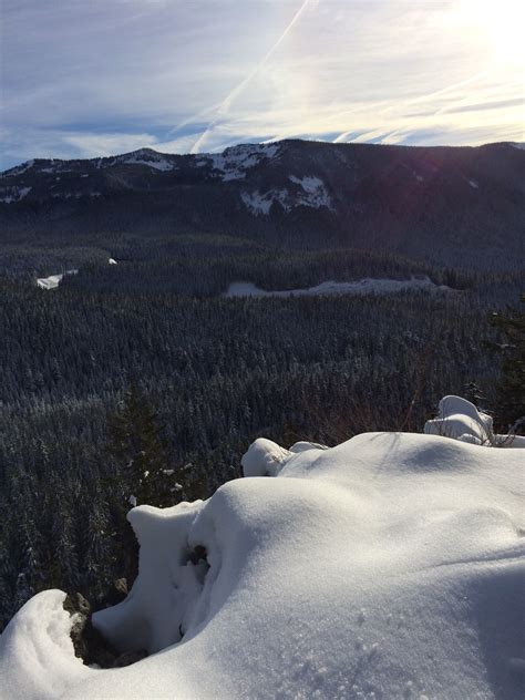 Paradise Park Trail - Oregon | AllTrails