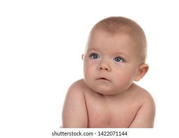 Portrait Adorable Baby Five Month Old Stock Photo 1422071144 | Shutterstock