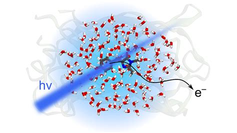 Shedding new light on the electronic structure of the green fluorescent ...