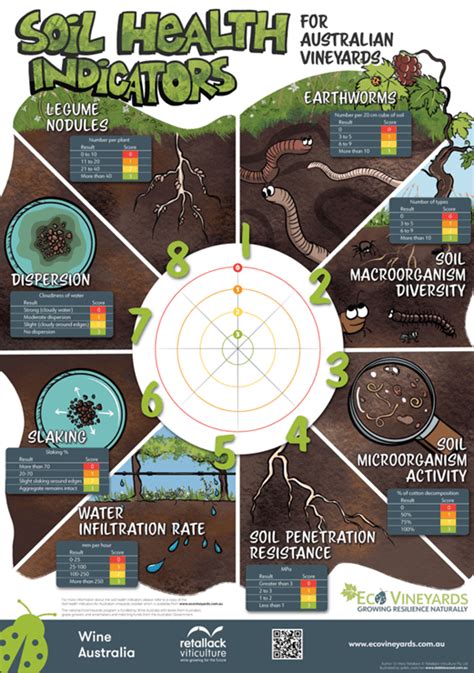 Soil Health Indicators Ecovineyards