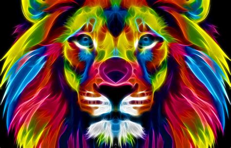 Colorful Lion Wallpapers Wallpapersafari