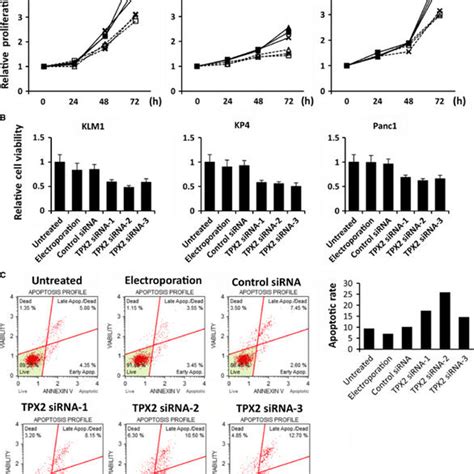 Tpx2 Silencing Inhibited The Proliferation Through Activation Of Igfbp3