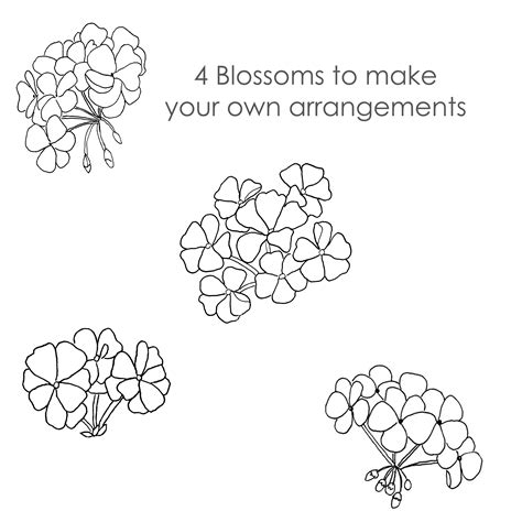 Geranium Patterns Geranium Coloring Pages - Just Paint It Blog