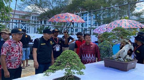 Pemkab Landak Dukung Bonsai Agar Bisa Jadi Salah Satu Penggerak Ekonomi