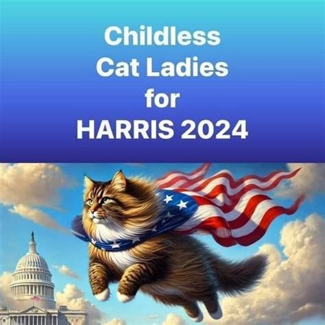 Childless cat lady meme | J.D. Vance’s "Childless Cat Ladies" Comment ...