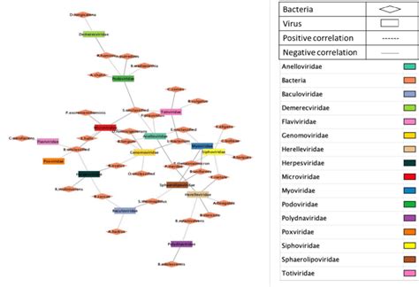 Displays A Network Plot Illustrating The Relationships Among Bacterial