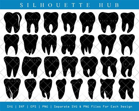 Tooth SVG Cut Files Tooth Silhouette Dental Svg Teeth Svg Dentist Tooth ...