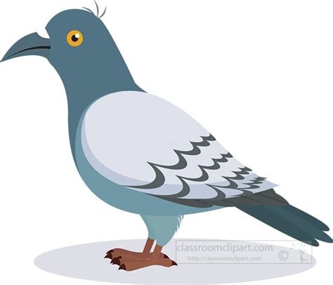 Bird Clipart Pigeon Bird Clipart