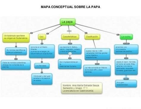 Mapa Conceptual Del Plebiscito Mapapapa Sexiz Pix