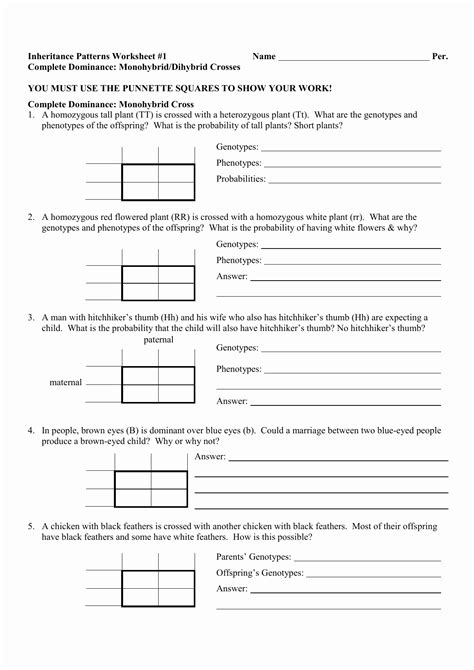 50 Monohybrid Cross Practice Problems Worksheet – Chessmuseum Template ...